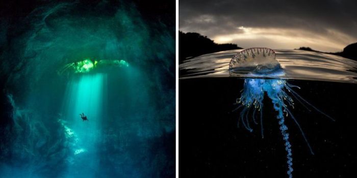 20 Mysterious And Beautiful Underwater Photos